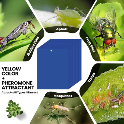 Qualirey 50 Pcs 6 x 8 Inch Sticky Traps for Plant Double Sided Sticky Trap for Gnats with Twist Ties Fly Traps for Fruit Insect Fungus Bugs Indoor Outdoor (Blue)