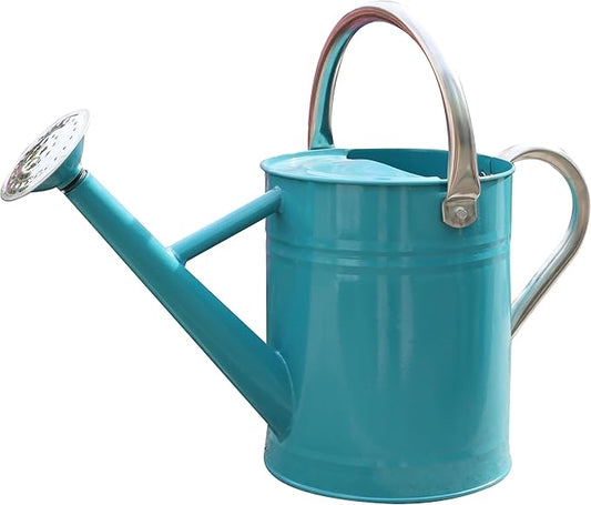 Metal Watering Can for Outdoor and Indoor Plants, Watering Can Decor, 1 Gallon (Leaf Green)