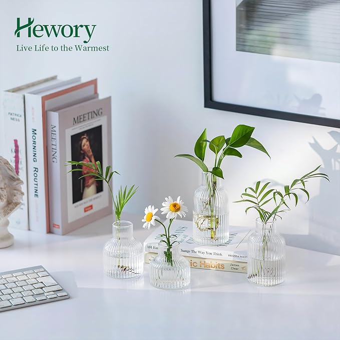 Hewory Glass Propagation vases for Plants: 4 PCS Ribbed Propagated Plant Holders for Hydroponic Cutting Flowers - Clear Propagation Stations Terrarium Jars for Home Office Decor Plant Lover Gifts