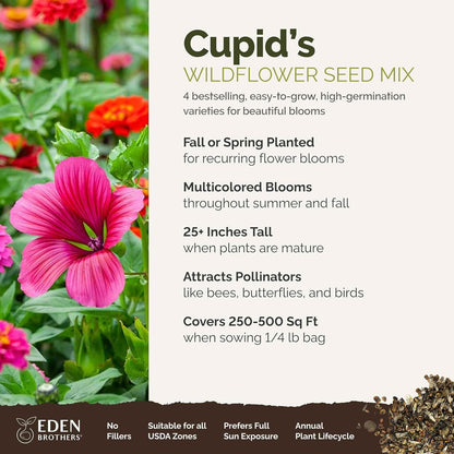 Eden Brothers Cupid's Flower Seed Mixed Seeds for Planting, 1/4 lb, 120,000+ Seeds with Malop Vulcan, Zinnia | Attracts Pollinators, Plant in Spring, Zones 2, 3, 4, 5, 6, 7, 8, 9, 10