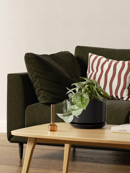 LE TAUCI Ceramic Plant Pots, 4.3+5.3+6.8 inch, Set of 3, Planters with Drainage Hole and Saucer, Indoor Flower Pot with Hole Mesh Pad, Gifts for Mom, Black