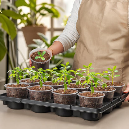 12 Cell Nursery Pot Trays 5 Pack with 4 Inch Clear Plant Pots 60 Pack, Thick Sturdy Seeds Starting Germination Shuttle Carrying Trays, Black Small Planter Nursery Propagation 5 Sets