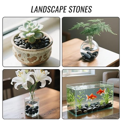 2.5lb Black Pebble Rocks 3/5-8/5 Inch Polished River Stones for Indoor Plants, Garden Landscaping, Vase Fillers & Aquarium Decor - Natural Decorative Rocks for Succulents, Bonsai, Terrariums