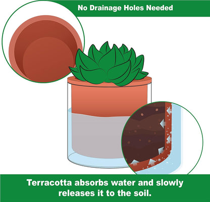 Phoenix Vine 4 Inch Self Watering Plants Pot, Design Terracotta Pot for Plants, Indoor Cylinder Terra Cotta Planter with Glass Vase, Set of 1, 51-A-E-1