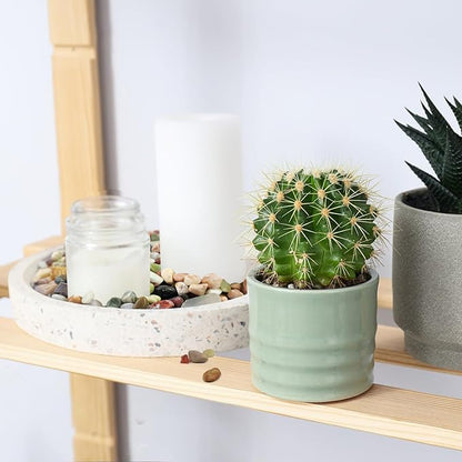 2 Pounds Pebbles for Plants, 3/8 Inch Succulent Rocks, Decorative Polished River Rocks for Plants Indoor, Vases, Cactus Planters, Bird Bath, Craft and Fairy Garden