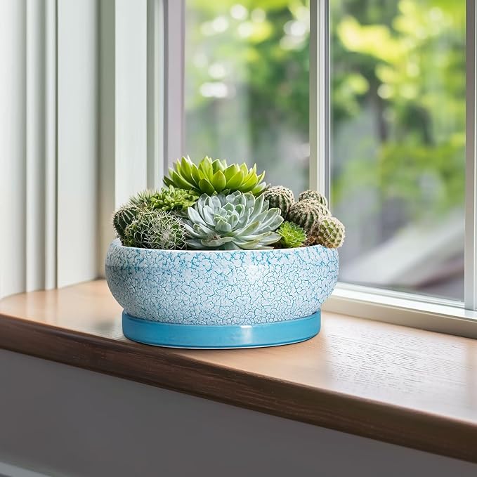 Bonsai Pots 10 Inch - Shallow Ceramic Planters for Indoor Outdoor, Succulent Pots with Drainage Hole and Saucer, Round Planter Bowl, Succulent Planter, Garden Decor, Housewarming Gifts, Blue