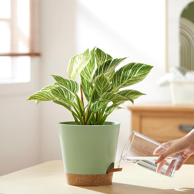 FaithLand 2-Pack 8 Inch Planter Pots for Indoor Outdoor Plants, Self Watering Flower Pots with Deep Reservoir, Green with Terracotta …