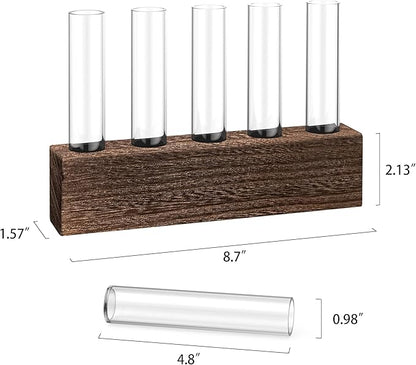 KAXYEW Desktop Glass Plant Propagation Station Test Tube Plant Terrarium in Wooden Stand for Hydroponic Plants Cutting Office Home Decoration Gift for Women (5 Test Tubes-BR)