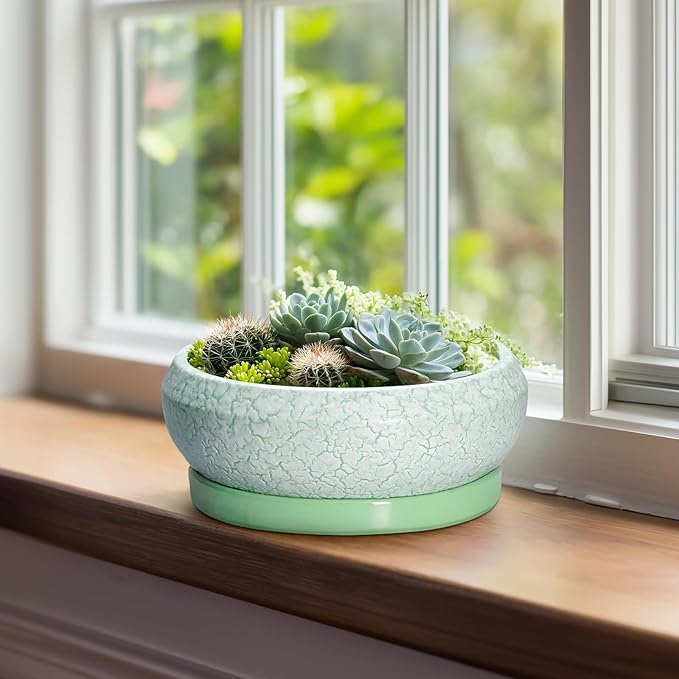 Bonsai Pots Ceramic - 8 Inch Succulent Pots Indoor Outdoor, Shallow Planters with Drainage Hole and Tray, Ceramic Planter Bowl, Round Planter, Apartment Decor, Gifts for Plant Lovers, Green