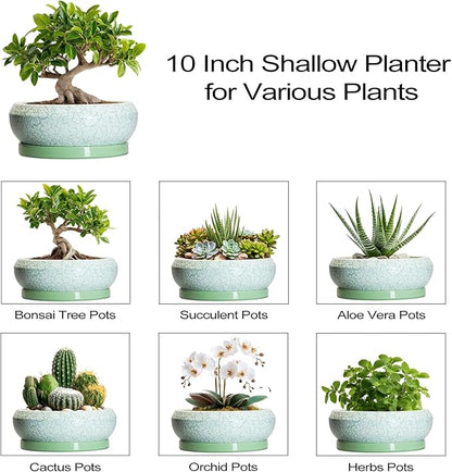 Bonsai Pots - 10 Inch Ceramic Succulent Pot with Drainage Hole and Plant Saucer, Succulent Planters for Indoor Outdoor, Round Planter Bowl, Shallow Planter, Home Decor, Gardening Gift, Green