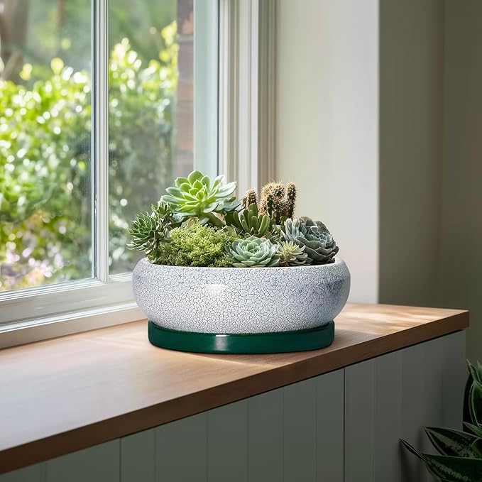 Bonsai Pots 13 Inch - Shallow Ceramic Planter with Drainage Hole and Saucer, Round Succulent Pots for Indoor Outdoor, Large Succulent Planter, Apartment Decor, Gardening Gifts, Green