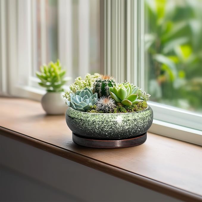Succulent Pots 6 Inch - Ceramic Bonsai Pots with Drainage Hole and Saucer, Succulent Planters for Indoor Outdoor, Small Shallow Planter, Round Cactus Pot, Room Decor, Plant Lover Gift, Green