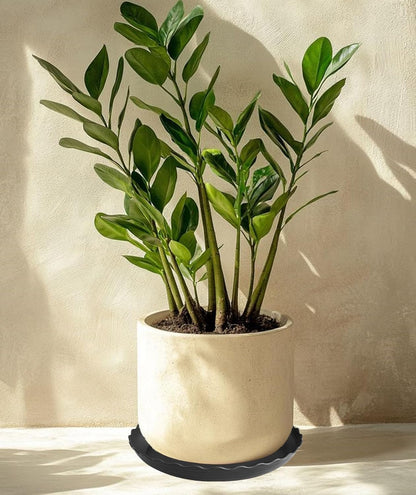 6 Pack of 12 inch Plant Saucer Plant Tray, Plastic Plant Saucer, Heavy Duty Plant Tray for Pots, Plant Saucers for Indoors Planter, Garden Water Plate Bowls (Black)