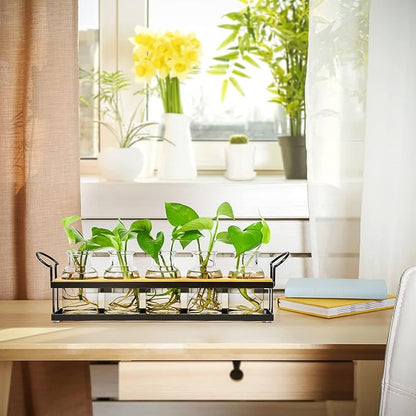 THYGIFTREE Plant Propagation Stations with Metal Stand, Tabletop Plant Terrarium for Propagating Hydroponic, Retro Glass Planter Flower Vase Home Kitchen Office Decor Gifts, 5 Jars