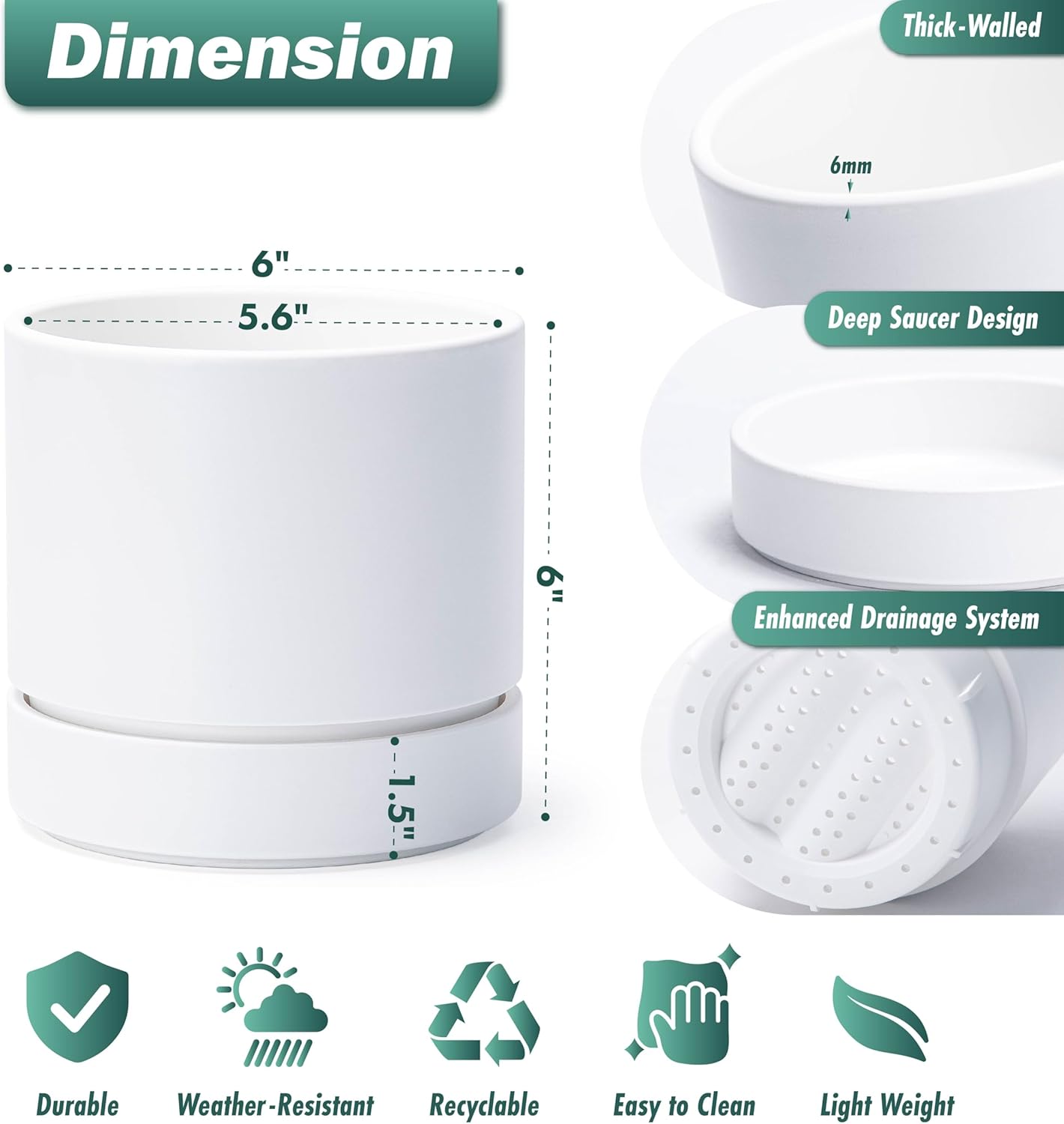 Phoenix Vine 6 Inch Planter Pot with Drainage Hole & Saucer, Deep Water Catch Tray, Straight Cylindrical Round Pot for Plants, Matte White, Pack of 1, 23-B-S-1