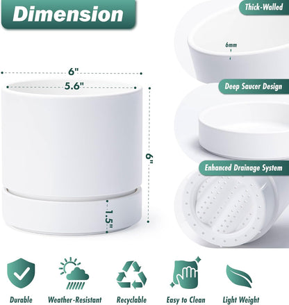 Phoenix Vine 6 Inch Planter Pot with Drainage Hole & Saucer, Deep Water Catch Tray, Straight Cylindrical Round Pot for Plants, Matte White, Pack of 2, 23-B-S-2