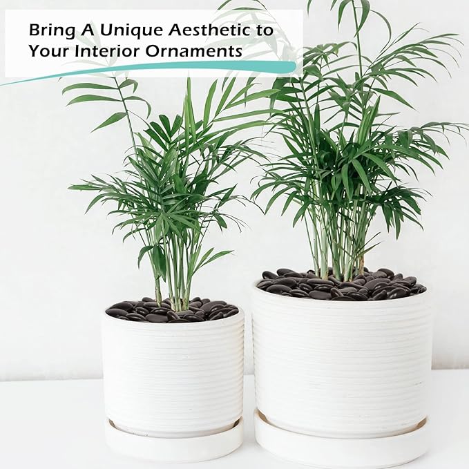 GASPRO 8lb Black River Rocks for Plants, Vases, 1 to 2 Inch Decorative Pebbles for Pots Indoor, High Polished