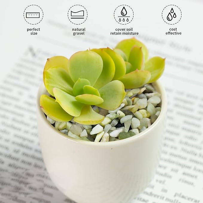 2 lbs Jade Rocks for Plants Indoor, 1/4 inch Small Pebbles for Plants, Decorative Rocks for Succulents Cactus Vases Landscaping Drainage and Outdoor Garden Rocks