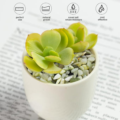 Jade Pebbles for Indoor Plants,1/4 Inch (3-6 MM) Polished Green Pea Gravel Small Rocks for Plants, Succulents, Cactus, Vases, Terrarium