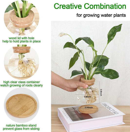 Plant Propagation Station,Hydroponic Glass Container Vase Jars, with Wooden Saucer for Desks, Houses, Garden Decorations, Home Kitchen Decorations and Gifts for Plant Lovers (2)