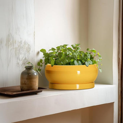 Bonsai Pots - 8 Inch Ceramic Succulent Planter for Indoor Outdoor, Shallow Planters with Drainage Hole and Saucer, Round Modern Planter Bowl, Window Decor, Gifts for Plant Lovers, Yellow