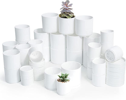 D'vine Dev Pack of 36 Plastic Plant Pots (12 Set of 2 Inch, 2.5 Inch, 3 Inch) Small Garden Planter Pots for Plant with Drainage Holes and Saucers, White, 74-T-A