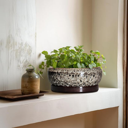 Bonsai Pots - 8 Inch Ceramic Pots for Plants with Drainage Hole and Saucer, Round Succulent Pot, Bonsai Planters Indoor Outdoor, Shallow Planter Bowl, Patio Decor, Gardening Gift, White