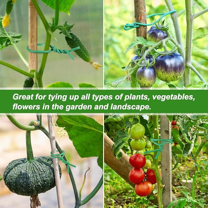 Shintop Plant Ties, 164ft Soft Green Garden Wire Flexible Tomato Ties for Outdoor Climbing Plants, Flowers, Vines Plant Support (3.5mm)