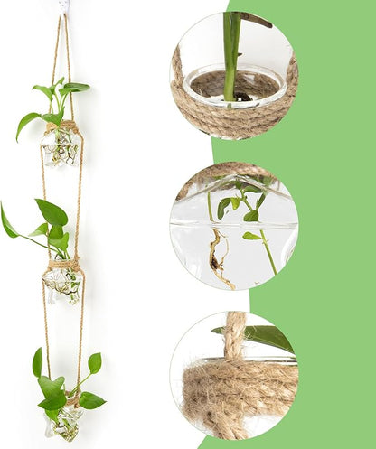 XXXFLOWER Wall Hanging Propagation Station，3 Tired Star Shaped Glass Flower Vase for Hydroponic Planter Terrarium for Plant Cutting Home Office Living Room Garden Decor