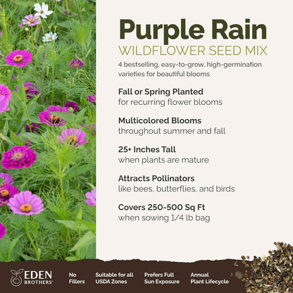 Eden Brothers Purple Rain Flower Mixed Seeds for Planting, 1/4 lb, 120,000+ Seeds with Zinnia Purple Prince & Violet Queen, Cosmos, Attracts Pollinators, Plant in Spring, Zones 3, 4, 5, 6, 7, 8, 9, 10