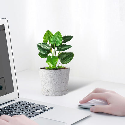 6 Inch Plant Pots Bulk, 6 Pack Plastic Planters with Drainage Holes and Saucers for Indoor Outdoor House Plants and Flowers,White Spots