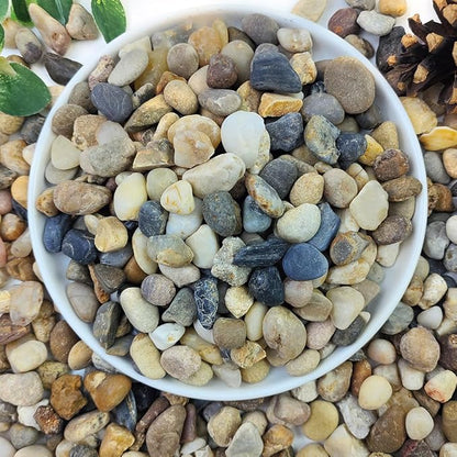 2lbs Natural River Rocks for Plants, 3/8" Aquarium Gravel Decorative Polished Mixed Pebbles for Fish Tank, Gardening, Flower Pots, Vase Fillers, Indoor Water Fountains, Landscaping