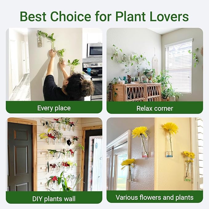 Propagation Station, Plants Terrarium, Plants Lover Gifts for Women,Plant Cutting Holder Home décor,Gifts for Women,House Warming New Home-4 Cylinder Shape