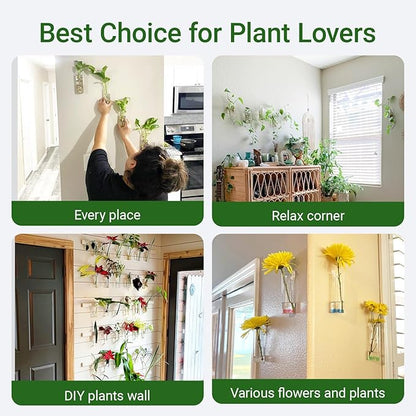 Propagation Station, Plants Terrarium, Plants Lover Gifts for Women,Plant Cutting Holder Home décor,Gifts for Women,House Warming New Home-4 Cylinder Shape