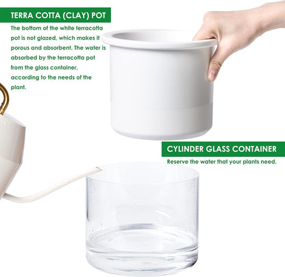 Phoenix Vine 6 Inch 4 Inch Self Watering Planter Pots, Design White Terracotta Pots for Plants, Indoor Cylinder Terra Cotta Pots with Glass Vase Set, 51-B-G-46