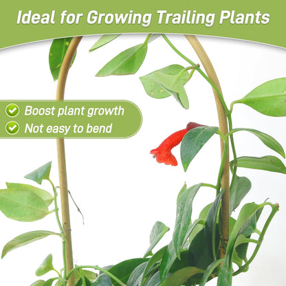 Avalution 16" Natural Bamboo Plants Trellis U-Hoop,Bamboo Gaeden Trellis U-Shape for Climbing Plant Support-10PCS