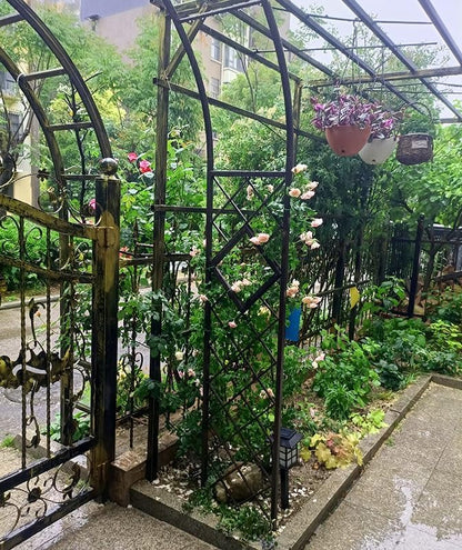 Heavy Duty Steel Garden Arbor & Trellis Arch for Grape Vines Climbing Plants Pergola Outdoor Theme Decoration Archway 180cm 260cm 340cm 140cm (Color : Black, Size : 134" W x 91" H)