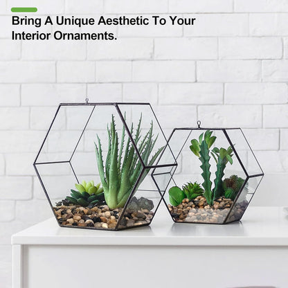 10 lbs Pebbles for Indoor Plants, Succulent, Bamboo, Vase, 3/8" Plant Rocks for Pots Indoor, Small River Rocks Decorative Pea Gravel, Highly Polished