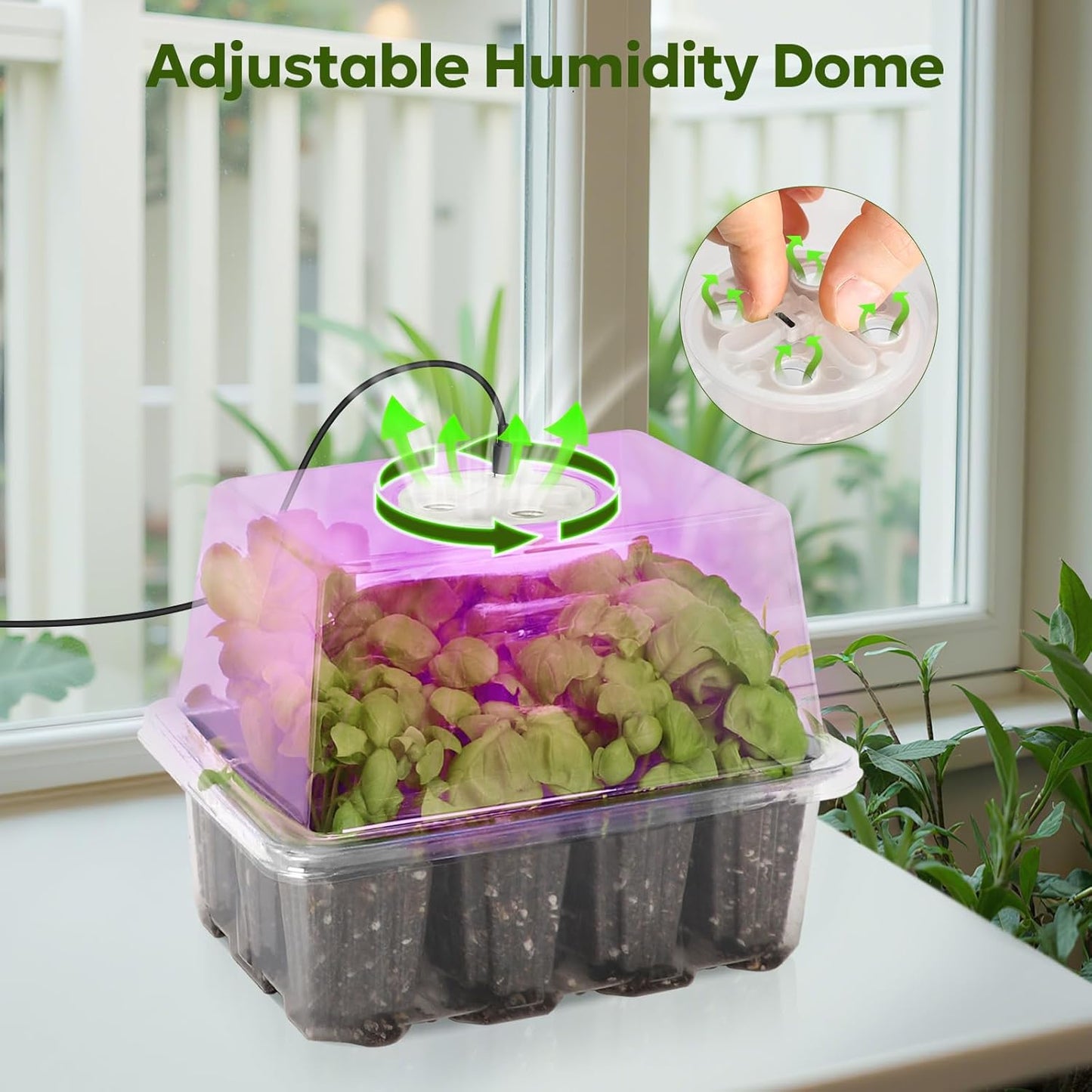 MIXC Seed Starter Kit with Grow Light, Elevated Seedling Tray Kit with Adjustable Humidity Dome and Clear Cell Tray, 12 Full Spectrum Led Beads for Seed Starting Greenhouse, 6 Pack, Transparent