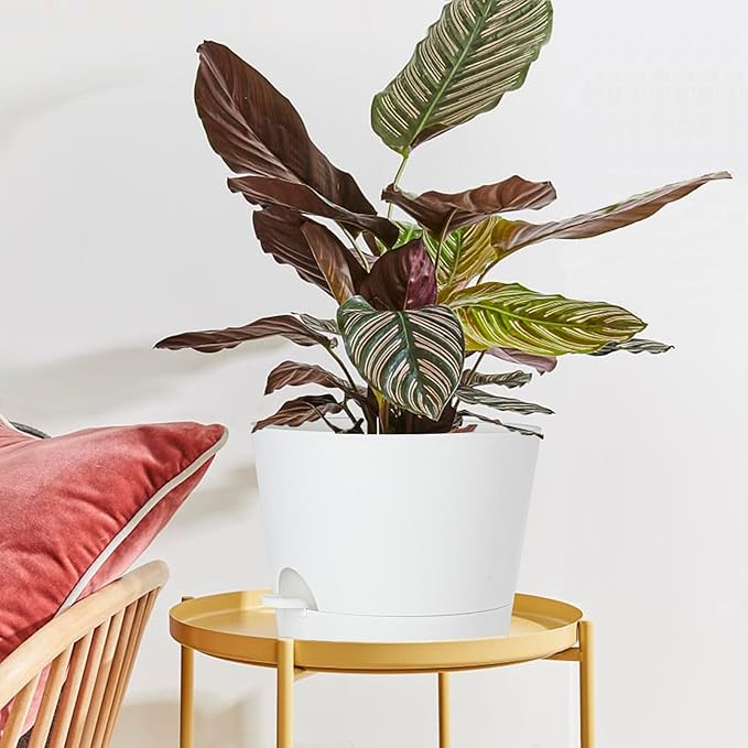 12inch Large Self Watering Plant Pot, Plastic Cylinder Planter with 60Oz Deep Reservoir and Saucer for Indoor Outdoor Plants Flowers Houseplants, White