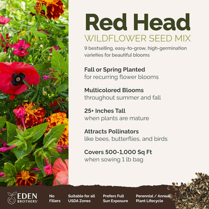Eden Brothers Red Head Wildflower Mixed Seeds for Planting, 1 lb, 480,000+ Seeds with Maltese Cross, Scarlet Flax | Attracts Pollinators, Plant in Spring or Fall, Zones 3, 4, 5, 6, 7, 8, 9, 10
