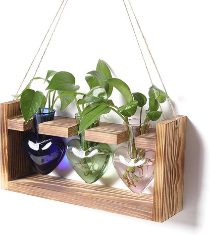 Plant Terrarium Propagation Stations Hydroponics Home Garden Decoration Gift for Women with Wooden Stand Heart Shaped Colored Glass Vase