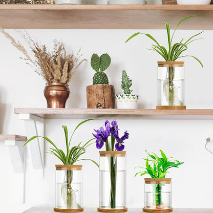 Maxcheck 3 Pcs 3 Sizes Plant Propagation Station Separated Glass Plant Terrarium Water Hydroponic Planter Holder with Lid and Wooden Stand Propagation Vase Pot for Home Indoor Office(Common Sizes)