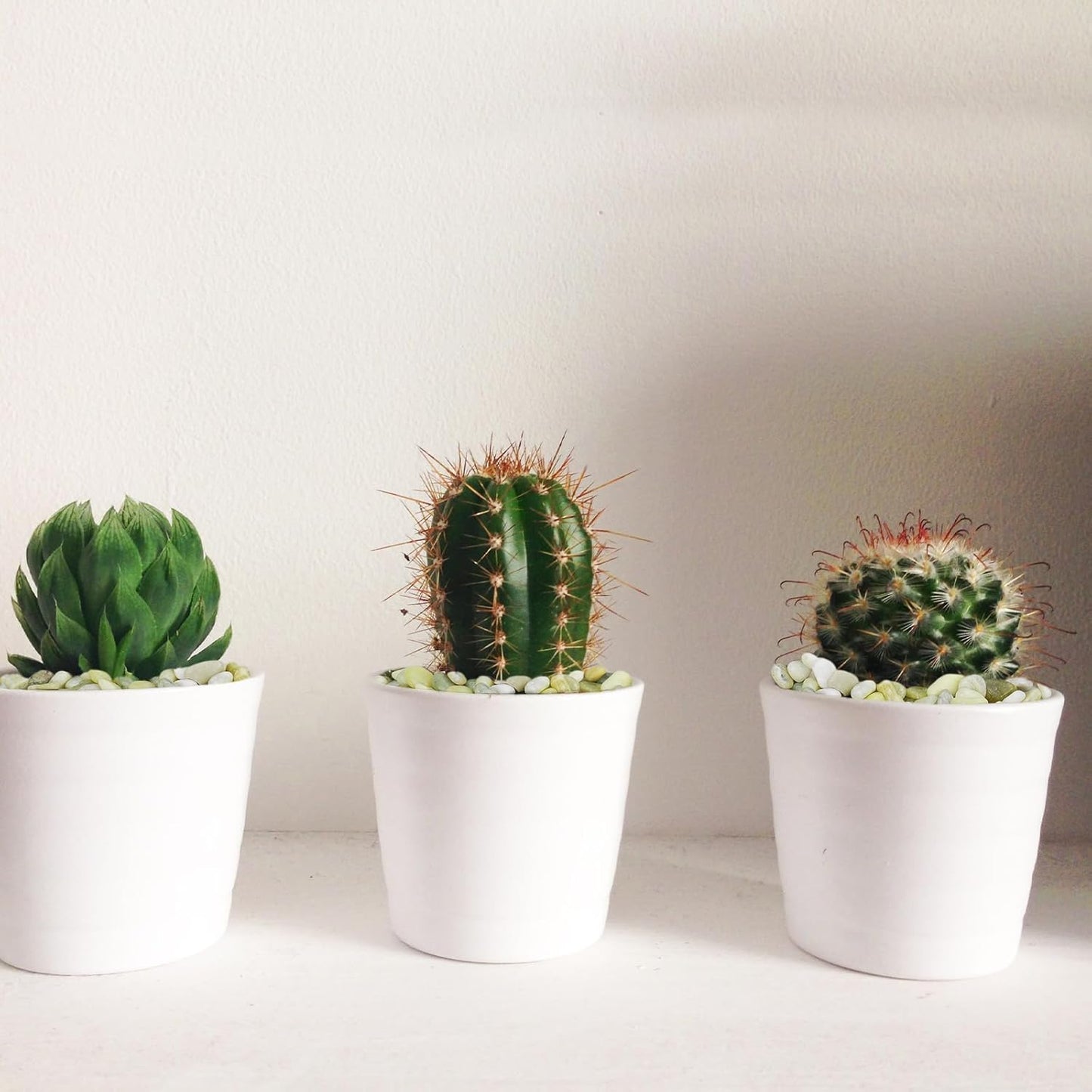 10 lbs Jade Pebbles for Indoor Plants, Decorative Pebbles for Bamboo, Vase, 3/8" Plant Gravel for Pots Indoor, Highly Polished Small River Rocks