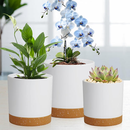 5 Pack Cylindrical Flower Pots with 7/6.5/6/5/4 inch, Modern Small Plastic Plant Pots with Drainage Holes & Saucers, Round Planter Pots for Outdoor, Indoor & Office Decor (White Brown)
