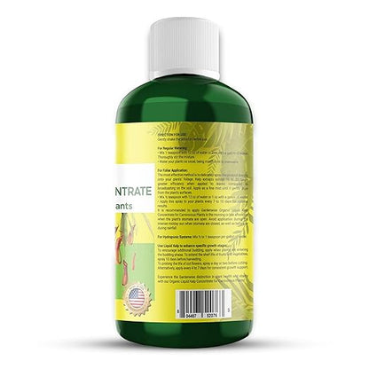 Organic Premium Kelp Seaweed Fertilizer: Indoor Plant Fertilizer & Carnivorous Plant Food for Venus Flytraps, Sundews, Drosera Capensis,Pitcher Plants,Butterworts & Other (16 OZ)