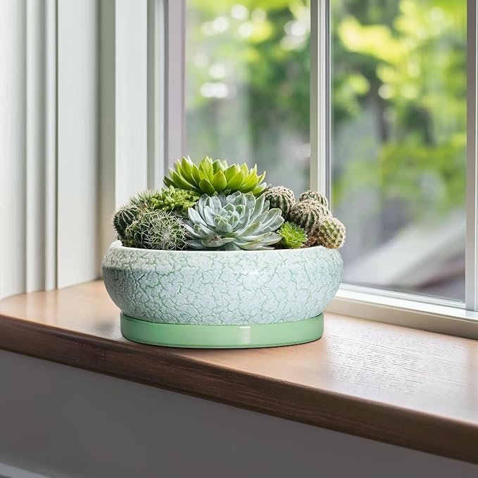 Bonsai Pots - 10 Inch Ceramic Succulent Pot with Drainage Hole and Plant Saucer, Succulent Planters for Indoor Outdoor, Round Planter Bowl, Shallow Planter, Home Decor, Gardening Gift, Green