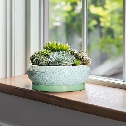 Bonsai Pots - 10 Inch Ceramic Succulent Pot with Drainage Hole and Plant Saucer, Succulent Planters for Indoor Outdoor, Round Planter Bowl, Shallow Planter, Home Decor, Gardening Gift, Green