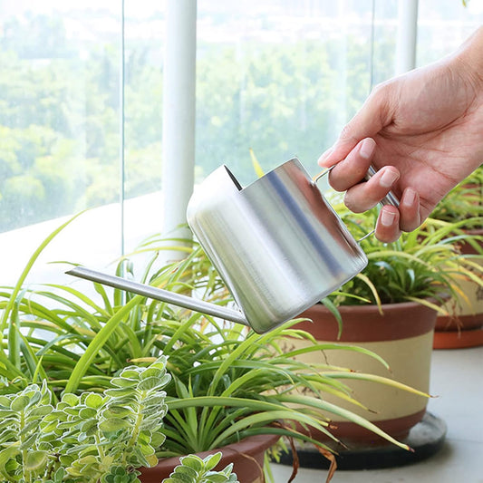 Watering Cans, 10oz/300ml Stainless Steel Long Spout Small Watering Sprinkling Pot, Indoor Outdoor Garden Flower Succulents Plant Watering Cans, Stylish Gardening Decoration(Silver)