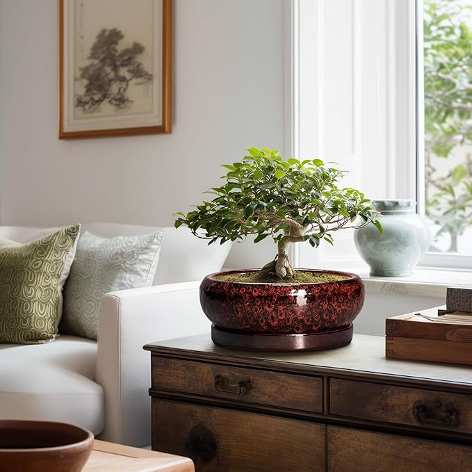 Bonsai Tree Pots - 10 Inch Ceramic Succulent Planters for Indoor Outdoor, Bonsai Pots with Drainage Hole and Saucer, Shallow Round Planter, Planter Bowl, Patio Decor, Gifts for Women, Red